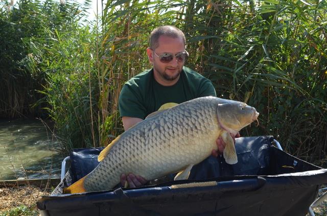 Cupa Dobrogeana Corbu -Sept.2015 - dsc6028.jpg